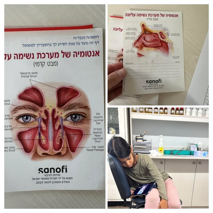 אילוסטרציה של נשימת אף תקינה לעומת נשימת פה והשפעתה על התפתחות הפנים